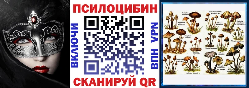 Галлюциногенные грибы Cubensis  сайты даркнета какой сайт  Нижняя Тура  купить наркоту 